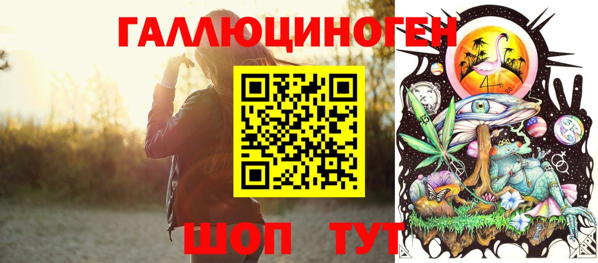Среднеуральск  Псилоцибиновые грибы Psilocybe  Вход с VPN 